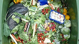 Marketlər niyə məhsulu ucuz satmaq yerinə zibil qutusuna atır?