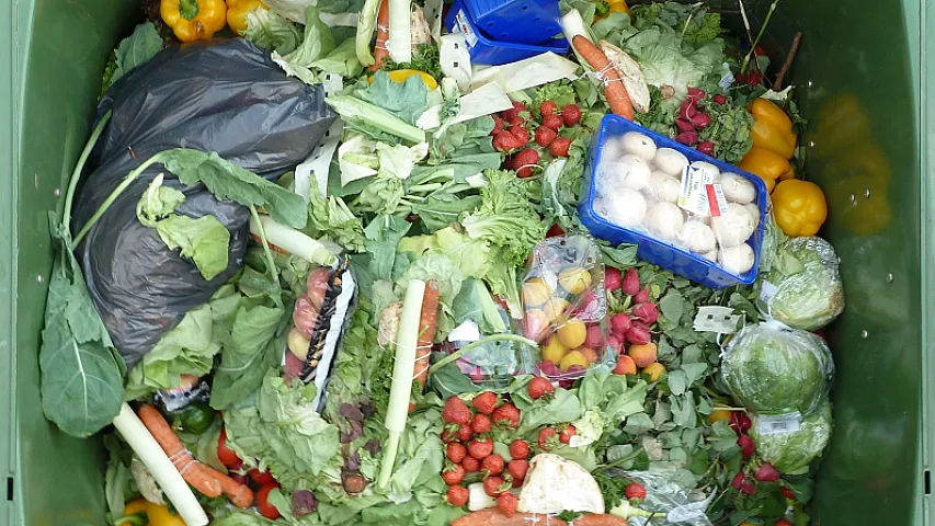 Marketlər niyə məhsulu ucuz satmaq yerinə zibil qutusuna atır?