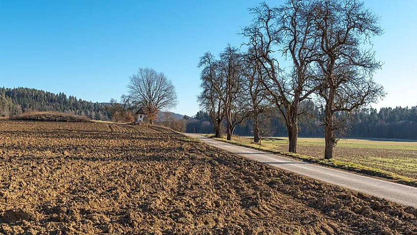 Bakıda ən ucuz torpaq sahələri 4 qəsəbədədir 