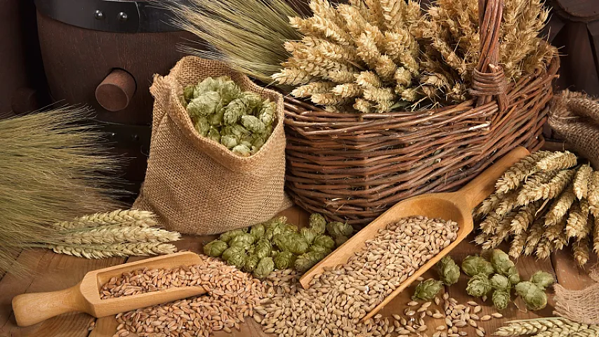 Azərbaycan 7 ölkədən səməni idxal edib