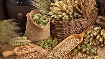 Azərbaycan 7 ölkədən səməni idxal edib - SİYAHI/MƏBLƏĞ