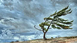 Sabah Bakıda hava küləkli olacaq, rayonlara yağış yağacaq
