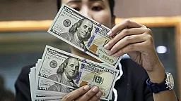 Стало известно, в каких экономических районах размещают больше всего долларовых вкладов
