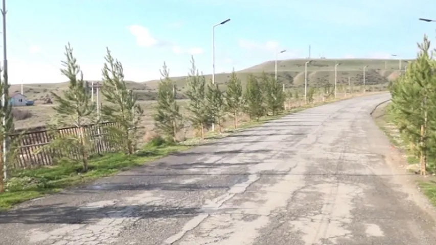 Жители села Кичик Дагна в Шеки столкнулись с отказом муниципалитета разрешить озеленение дороги