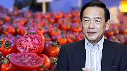 Əvvəllər 2 trilyon dollarlıq aktivləri idarə edirdi: indi üç nəfərlə pomidor satacaq