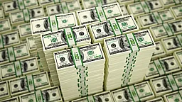 Hansı hallarda valyuta ehtiyatlarından istifadə olunur?