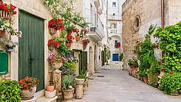 2026-cı ildə bəzi ölkələr köçənlərə pul verir 