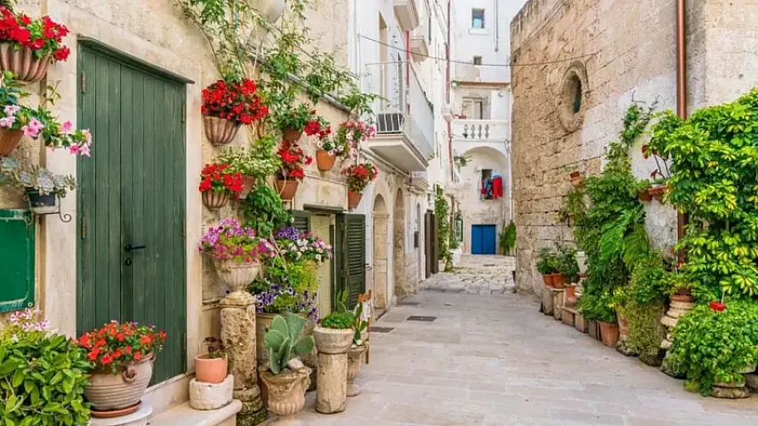 2026-cı ildə bəzi ölkələr köçənlərə pul verir 