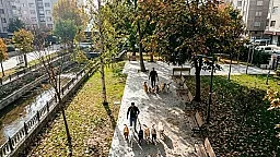 Gördüyü işdən ayda 3500 dollar qazanır: Heç bir xərci yoxdur, qazancı özünə qalır