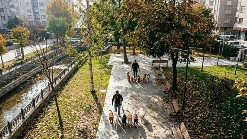 Gördüyü işdən ayda 3500 dollar qazanır: Heç bir xərci yoxdur, qazancı özünə qalır