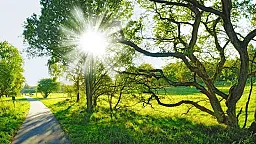 Прогнозируется средняя месячная температура апреля около климатической нормы