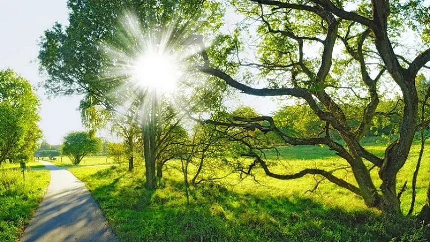 Aprel ayına olan hava proqnozu açıqlandı