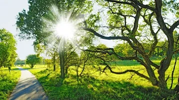 Прогнозируется средняя месячная температура апреля около климатической нормы