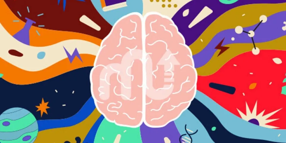 İndiyə qədər qeydə alınmış ən yüksək IQ səviyyəsi kimə aiddir? - <span style="color:#008000">SƏHƏR</span> <span style="color:#008000">OXUSU</span>