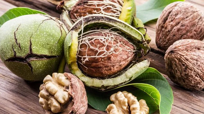 Yunan qozunu üç ölkədən 2 manata alırıq, amma Gürcüstandan 6 manata - ÖLKƏLƏR, QİYMƏTLƏR