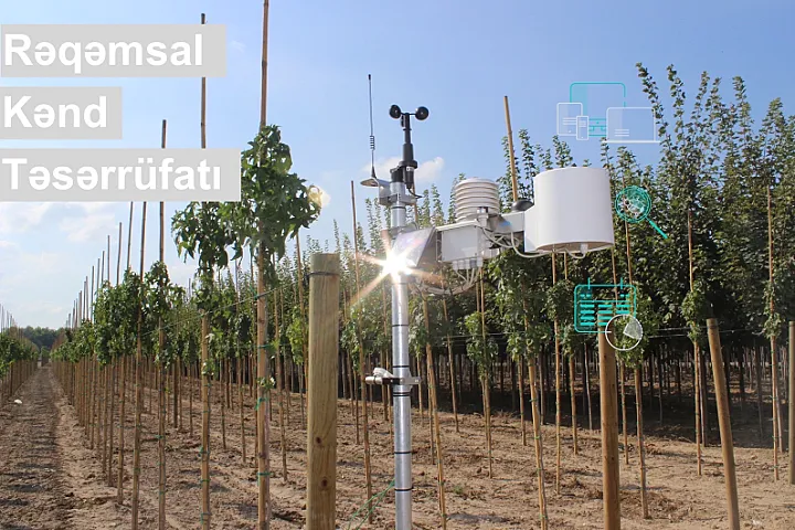 Risklərlə bağlı fermerlərə SMS bildirişlər göndərilir - <span style="color: #ff0000;">Rəqəmsal yenilik</span>