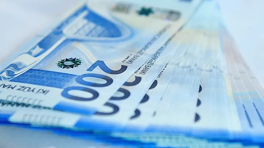 2024-cü ildə subsidiyaların həcmi 38% azalacaq