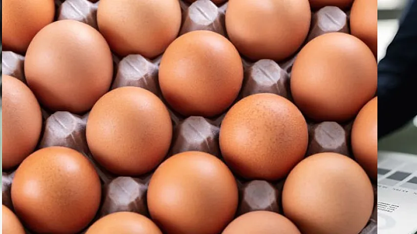 Rusiya bahalaşmanı dayandırmaq üçün xaricdən yumurta alacaq