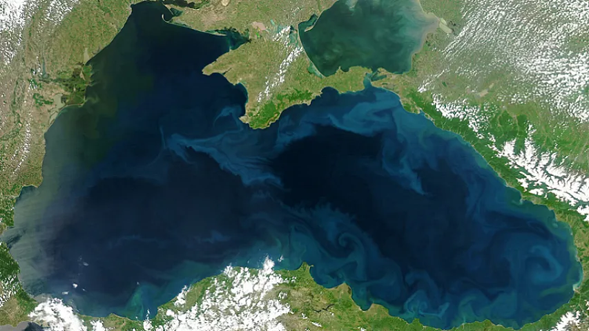 Qlobal istiləşmə okeanın əsas biosikllərindən birini pozub - Alimlər