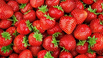 “Ərəb ölkələrinin Azərbaycan çiyələyinə marağı artıb”