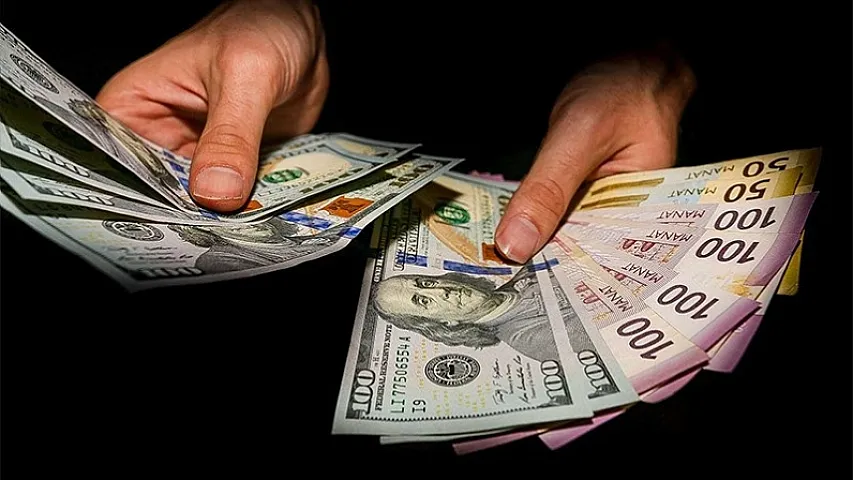 Manatın məzənnəsi üçün təhlükə varmı? (VİDEO)