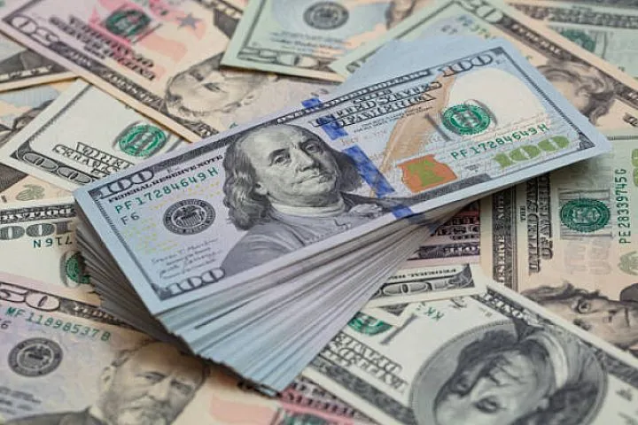 Banklara daha çox dollar satıldı