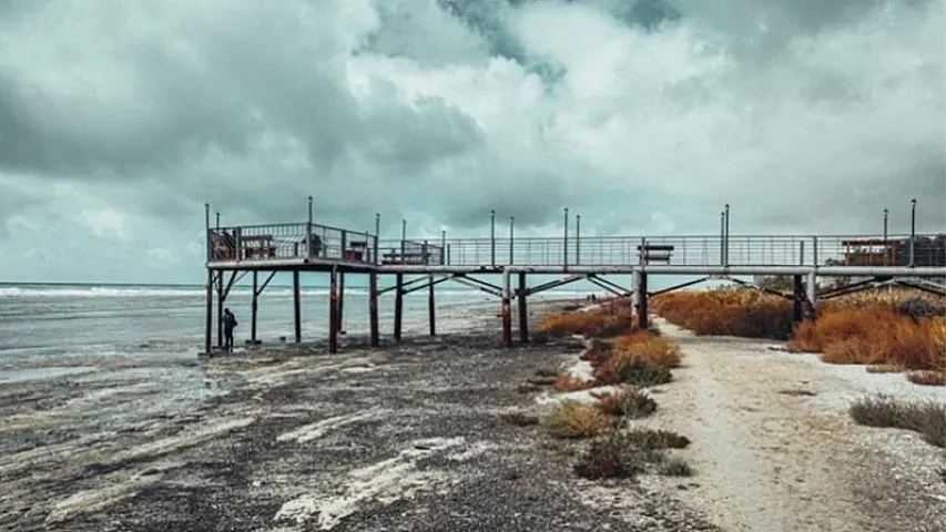 Prezident süni torpaq sahələri ilə bağlı bəzi qanunlarda dəyişiklikləri təsdiqləyib