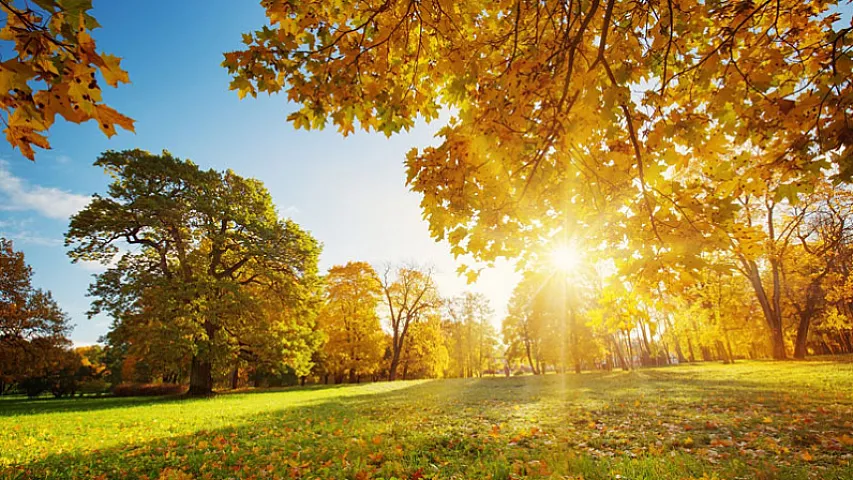 Faktiki hava açıqlanıb
