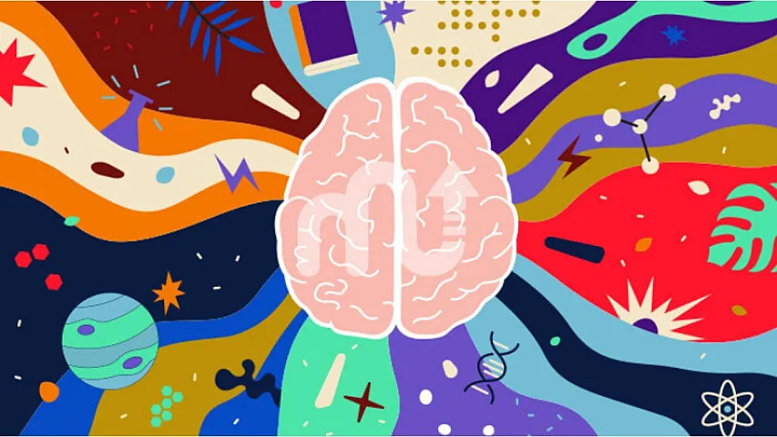 İndiyə qədər qeydə alınmış ən yüksək IQ səviyyəsi kimə aiddir? - <span style="color:#008000">SƏHƏR</span> <span style="color:#008000">OXUSU</span>