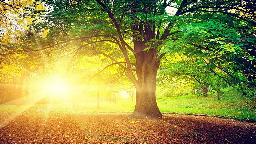 Sabah 14&deg; isti olacaq