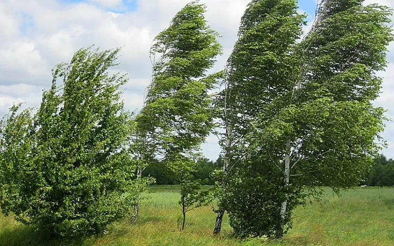 Sabah hava yağmursuz olacaq, güclü külək əsəcək