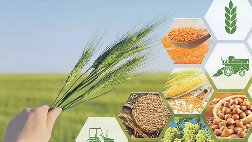 Kənd təsərrüfatı üçün müxtəlif planlar &ndash; Bu sahəni necə canlandırmaq olar?