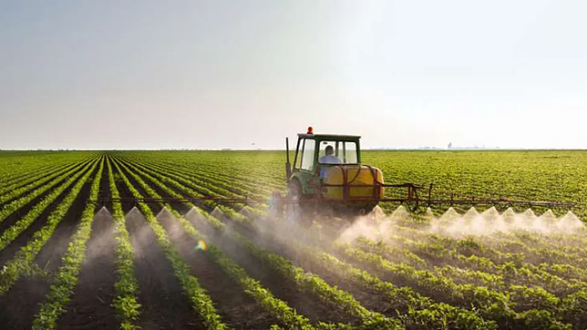 Ölkədə ən çox hansı məhsul istehsal olunur?