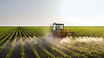 Ölkədə ən çox hansı məhsul istehsal olunur?