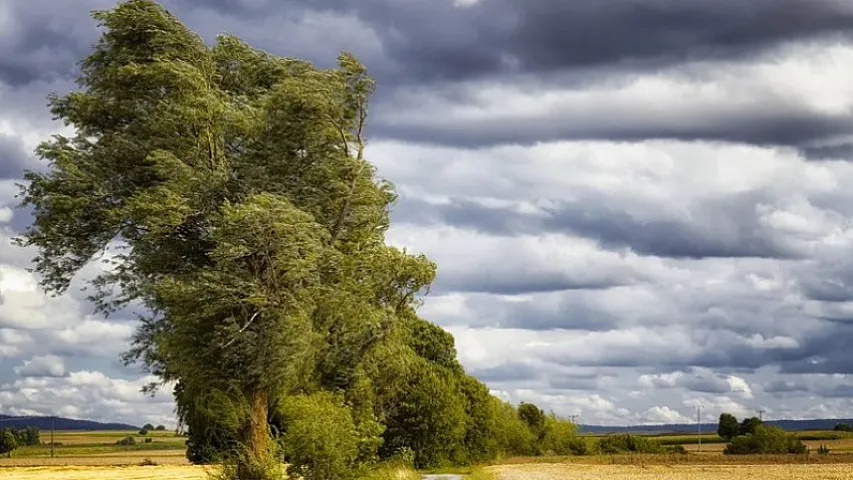 Növbəti iki gündə güclü külək əsəcək - XƏBƏRDARLIQ