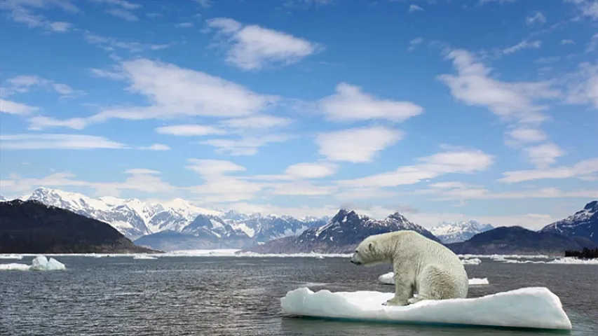 Şimal Buzlu okeanından mənfi acı rekord: Qorxulu göstəricilər açıqlandı