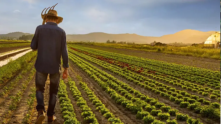 Kəskin hava şəraiti fermerlərə ZİYAN VURDU: &quot;10 min manat maya qoymuşdum&quot;
