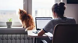 Sevərək işlədiyimiz ev mühiti işimizi necə ləngidir? - 7 əsas mənfi cəhət