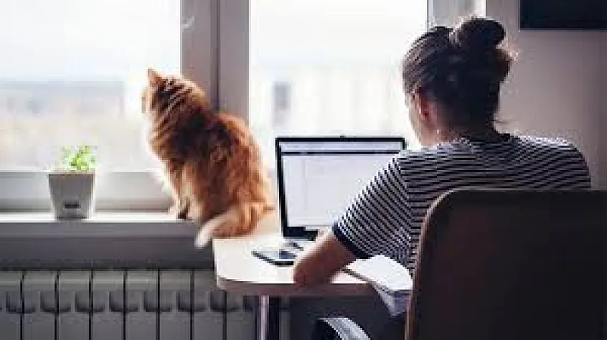Sevərək işlədiyimiz ev mühiti işimizi necə ləngidir? - 7 əsas mənfi cəhət