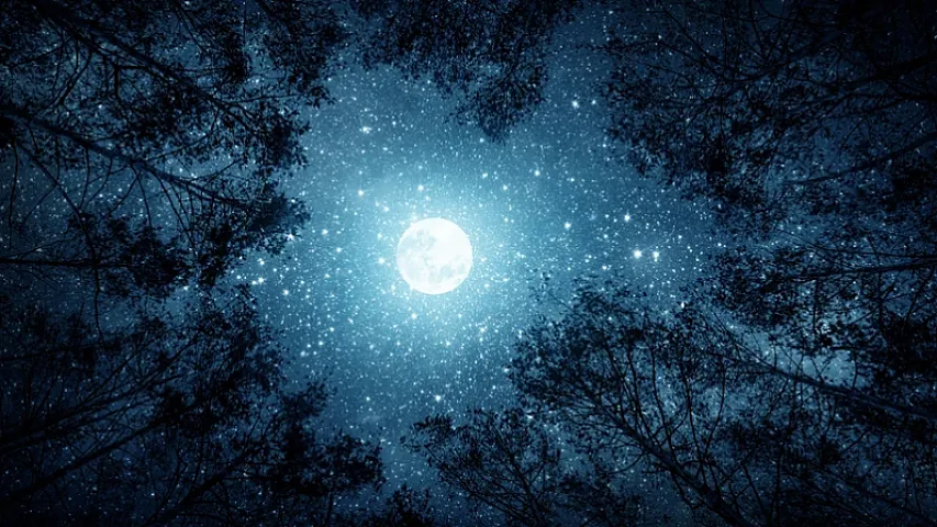 Ay kraterlərində trilyonlarla dollarlıq sərvət gizlənə bilər