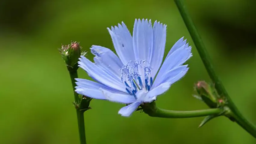 Bu ölkə Azərbaycana 3 manatdan kasnı satır