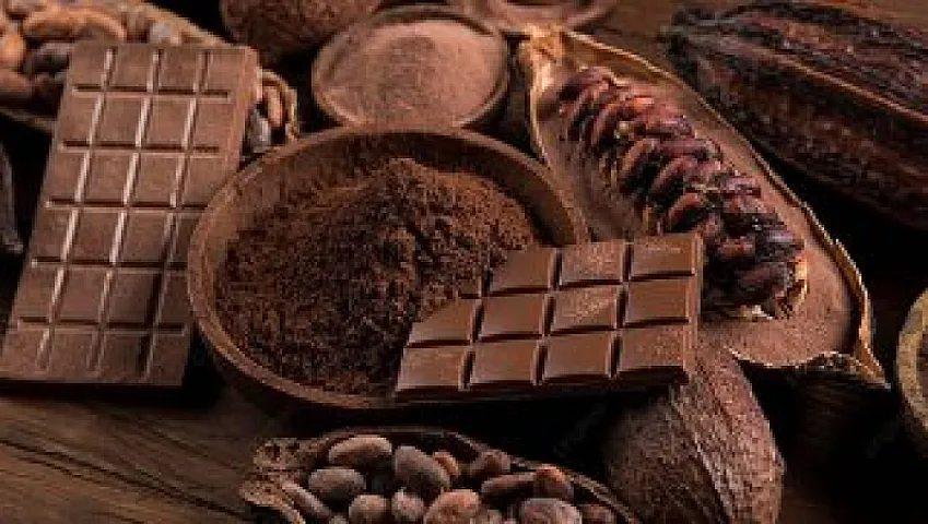 Kakao ixracı ölkəyə 5 milyon dollardan çox qazandırıb