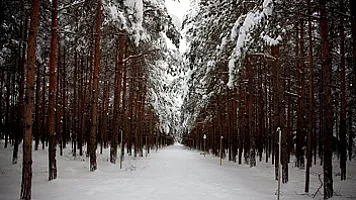 Şəkinin gəzməli yerləri