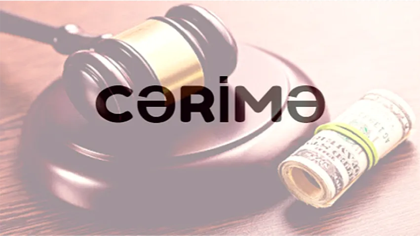 Elnarə Nəbiyevanın rəhbəri olduğu şirkət yarım milyon rubl cərimələndi